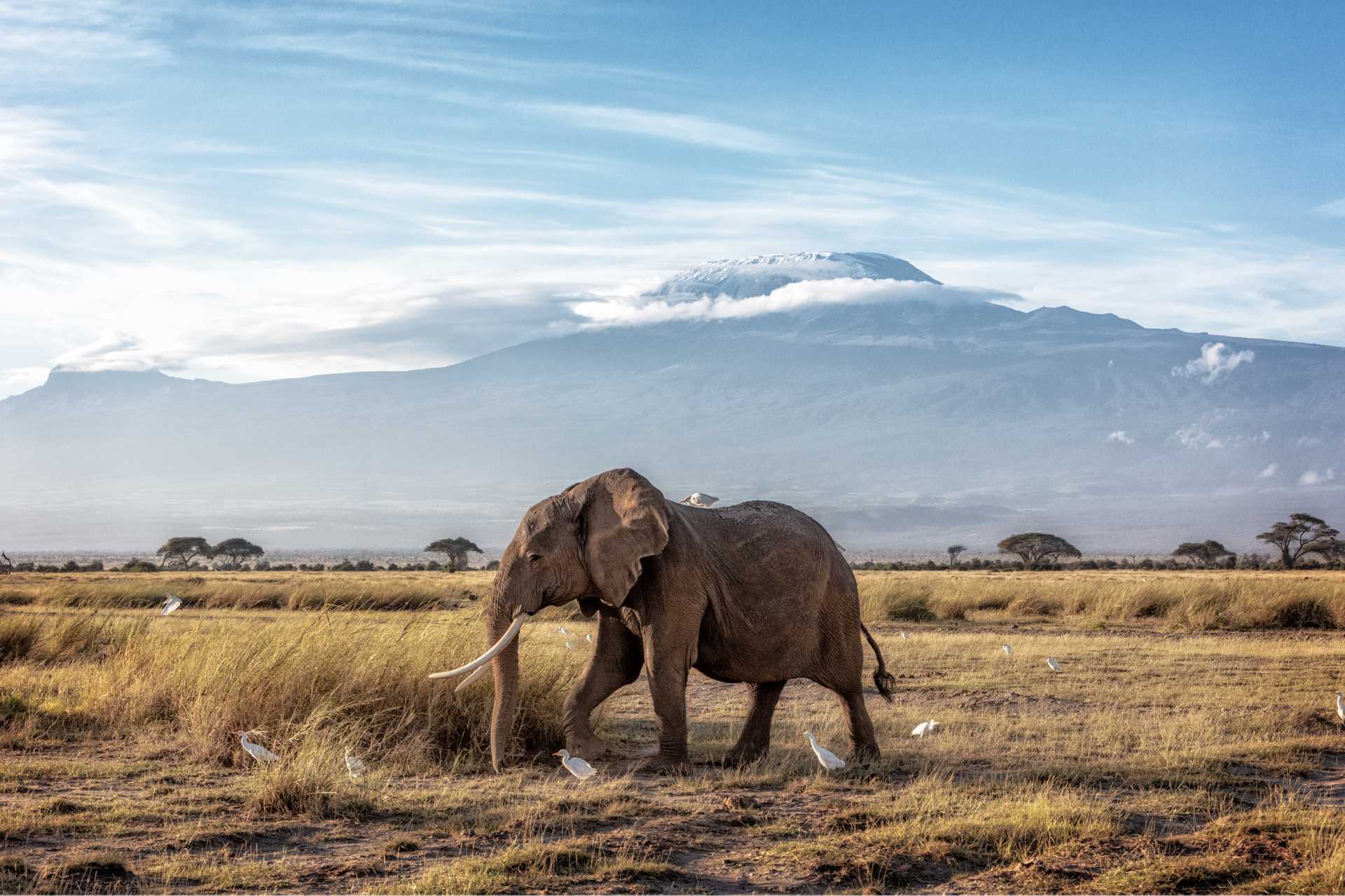 Kilimandžáro ( Tanzanie ), tip na trip, tip na nejlevnější letenka | Lowkosťák