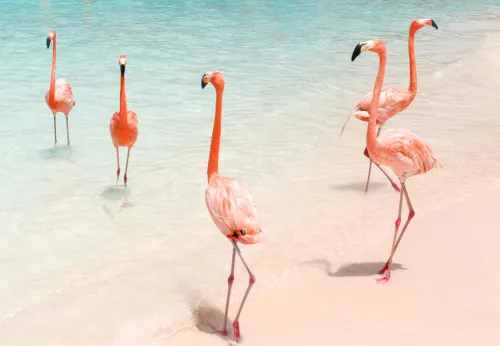 Aruba a Curaçao