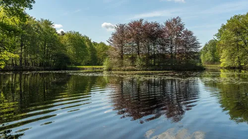 Ubytování Třeboň Kde se ubytovat a co dělat v kraji rybníků