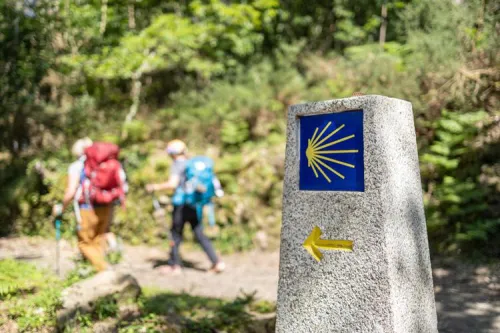 Camino de Santiago z Česka. Výzva pro opravdové poutníky