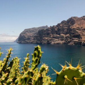 Tenerife bez cestovky - Tenerife průvodce na 8 dni