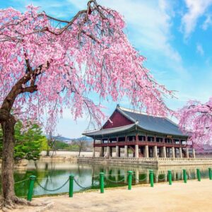 Jižní korea bez cestovky - Jižní korea průvodce na 15 dní