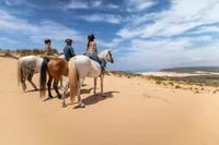 Algarve: 1hodinová projížďka na koni Carrapateira