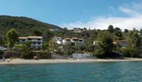Azalea
