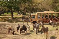 Bali: Safari Zoo, palác Ubud a trh – celodenní výlet