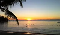Blooms Apartments