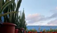 Bob Apartments