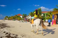 Celodenní prohlídka Rick's Café a Seven Mile Beach z Montego Bay.
