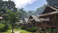 Jungle Garden