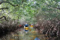 Kajakování v mangrovích na ostrovech Koh Yao Yai a Koh Yao Noi