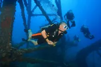Ko Chang: 1denní potápěčský výlet na nejlepší podmořské lokality