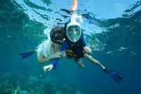 Koh Chang: Šnorchlovací výlet k útesům nebo vrakům s obědem
