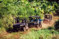 Mauricius: Bel Ombre Nature Reserve Buggy Tour