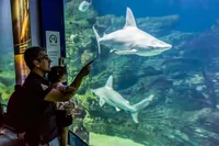 Oceanogràfic Vstupenka