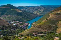 Porto: Prohlídka údolí Douro s obědem, plavbou lodí a ochutnávkami
