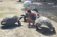 Prohlídka ostrova Curieuse s průvodcem, St Pierre, grilování a 2 zastávky na šnorchlování