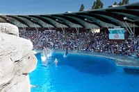 Riccione: Vstupenka do parku Oltremare