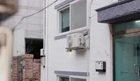 The Zen House