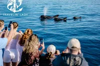 Travelin' Lady: Ekologické safari na jachtě za velrybami a delfíny + koupání