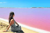 Z Cancúnu: Výlet lodí do Rio Lagartos a Las Coloradas s obědem