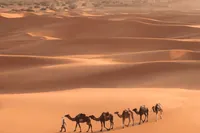 Z Marrákeše: Třídenní výlet do Merzougy a saharské pouště.
