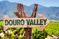 Z Porta: Údolí Douro s prohlídkou lodí, ochutnávkou vína a obědem.