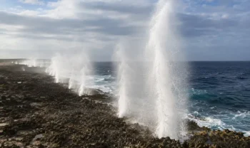 Tonga