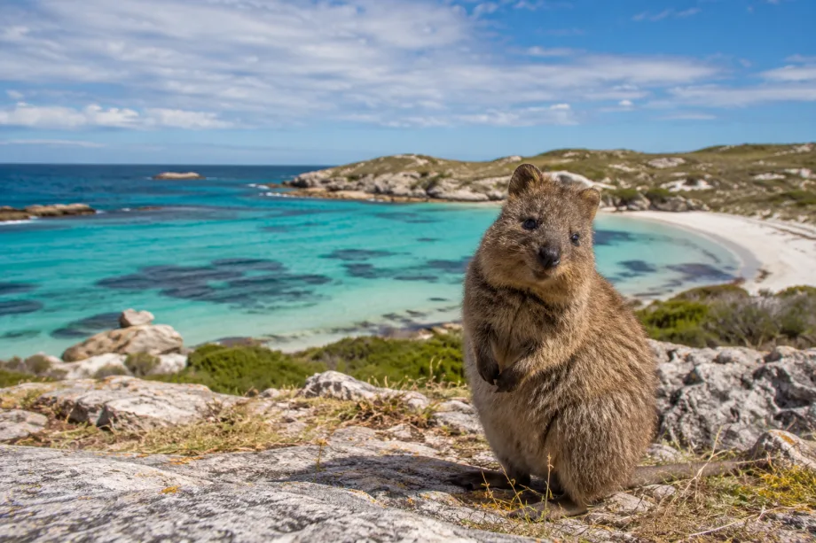 Ostrov Rottnest