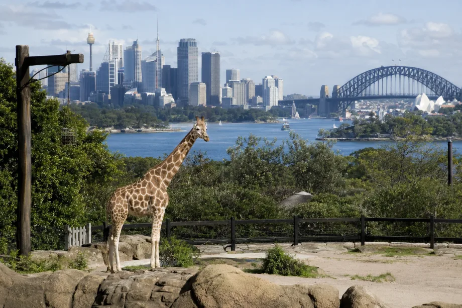 Sydney, Austrálie
