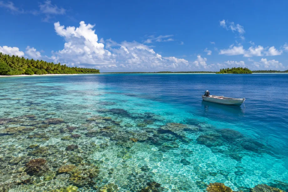 Ant Atoll
