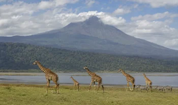 Arusha, Tanzanie