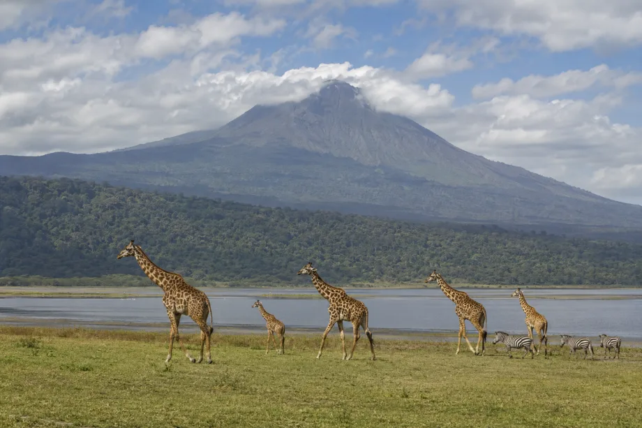 Arusha National Park
