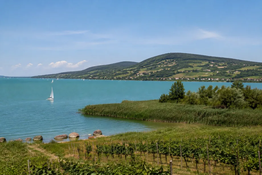 Balaton