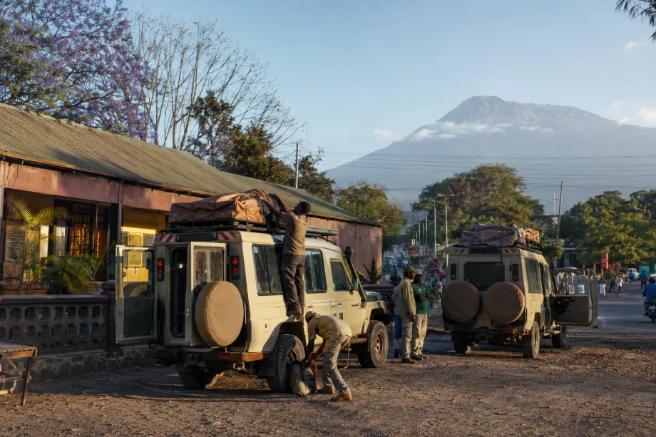 Brána na safari