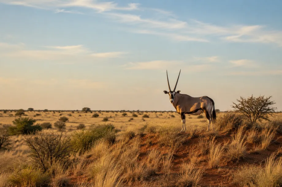 Central Kalahari (CKGR)