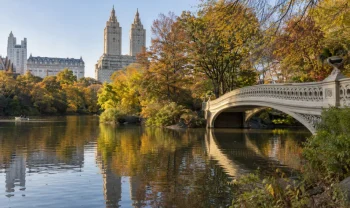 New York, USA
