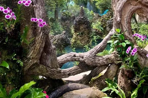 Chiang Mai: Celodenní výlet k vodopádům Sticky Waterfall a Angel Waterfall Park