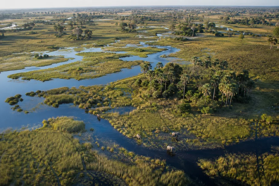 Delta Okavango