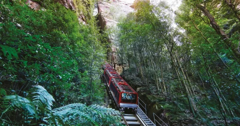 Dobrodružství v Modrých horách: Scenic World, zoo a focení s koálou