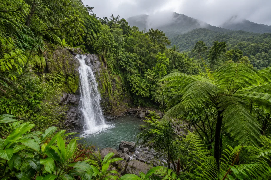 El Yunque