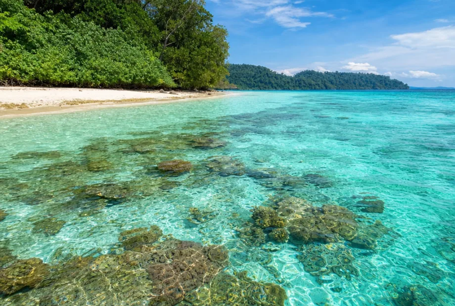 Elephant Beach