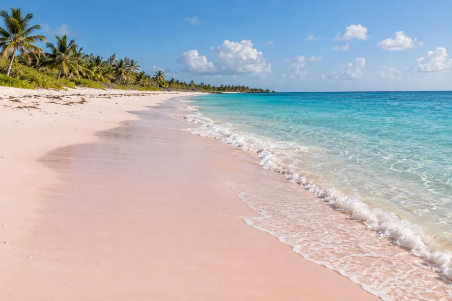 Bahamy