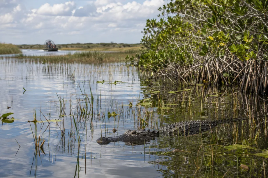 Everglades National Park