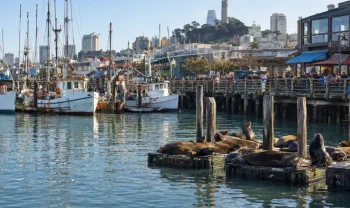 San Francisco na 10 dní. Letenky a ubytování, od 19 017 Kč