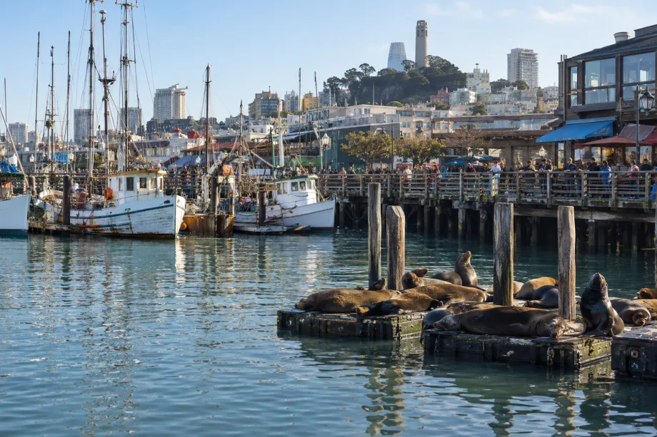 San Francisco na 10 dní. Letenky a ubytování, od 19 017 Kč