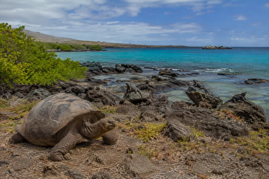 Galapágy