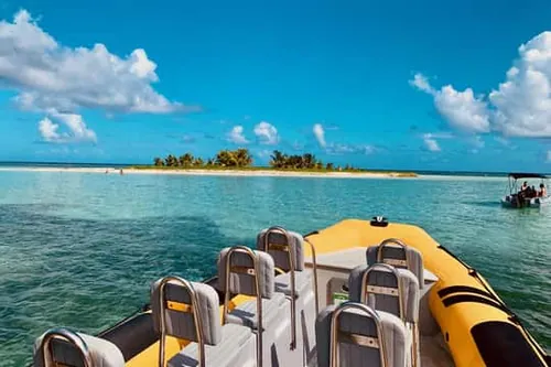 Guadeloupe: Výlet s průvodcem na moři – objevte mořskou rezervaci Grand Cul de Sac