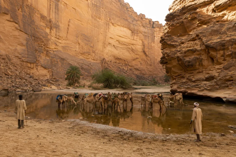 Guelta d'Archei