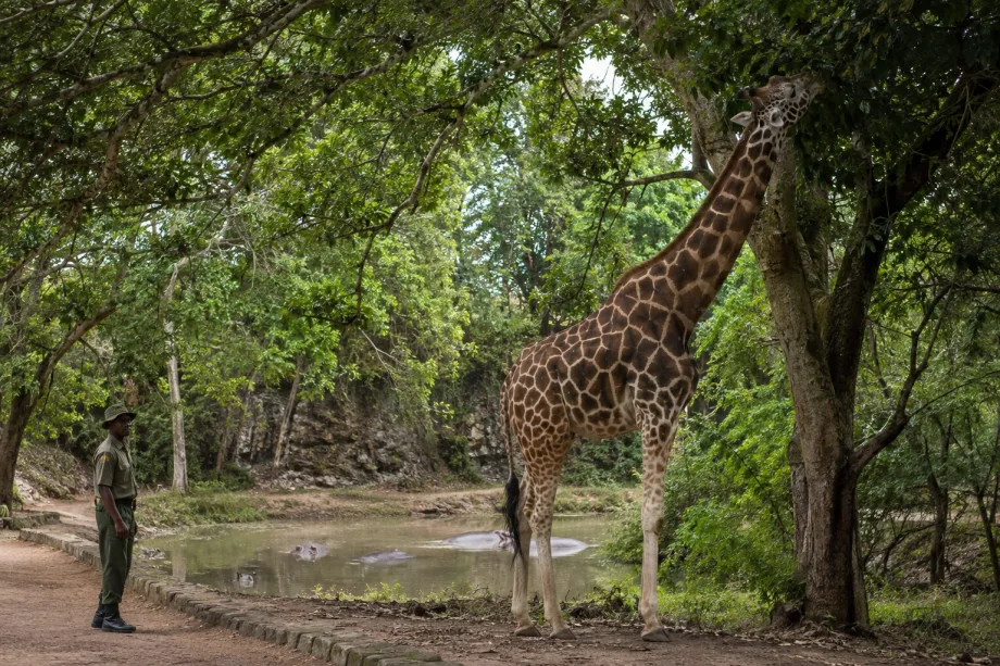 Mombasa, Keňa