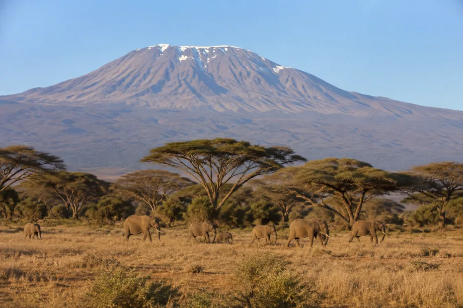Tanzanie